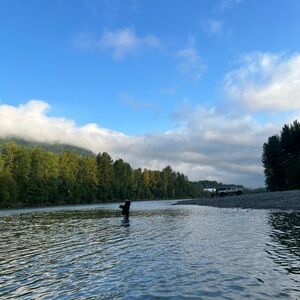 Meet your Posher, Darcy